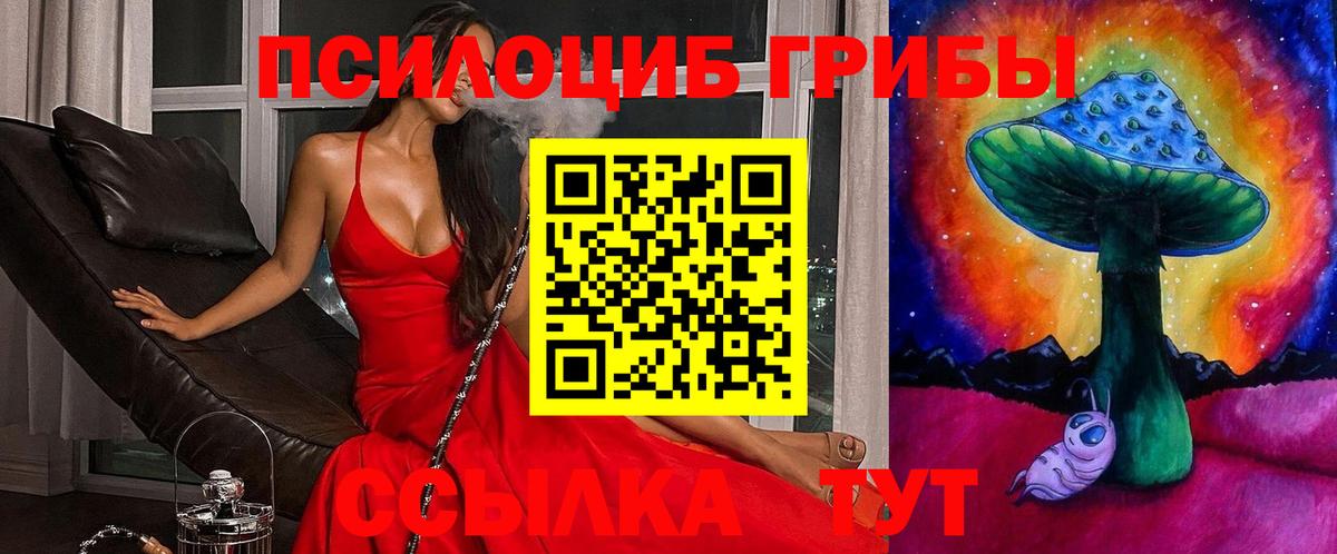 Псилоцибиновые грибы Psilocybine cubensis  Вход с VPN  Северобайкальск 